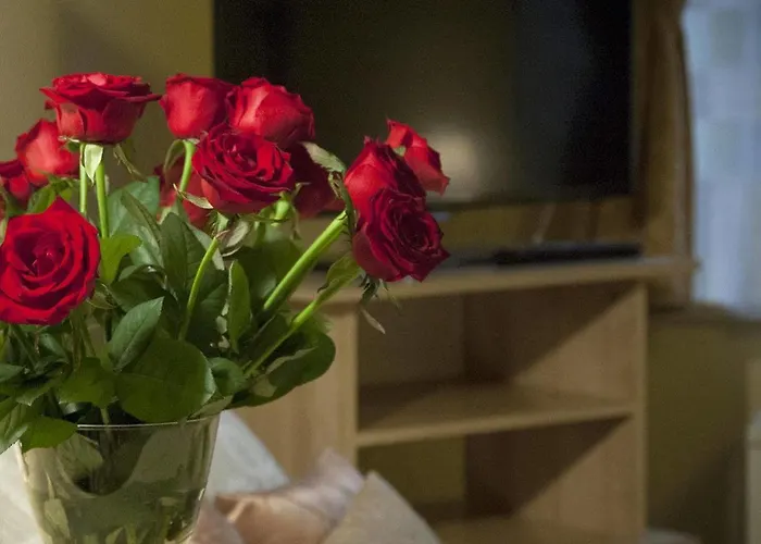 Maria 4* 크라쿠프